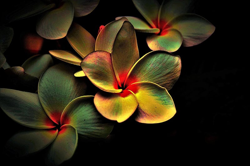 Enigmatic Riddle Image